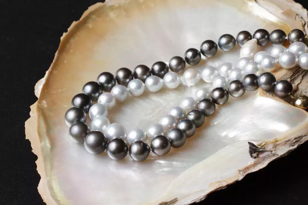 产大珍珠的贝类有哪些,贝类孕育的宝石