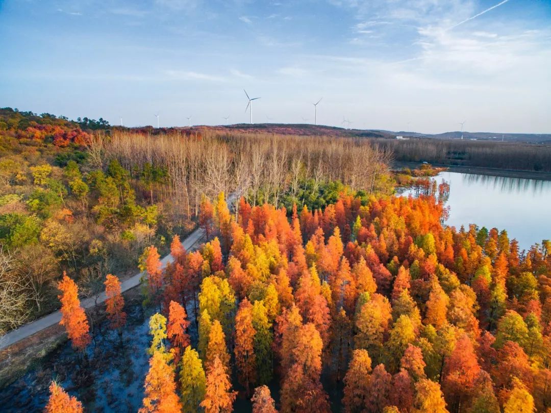南京是属于哪个省的,南京是现在的哪个城市