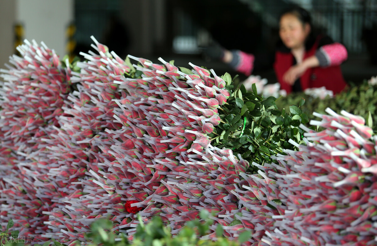 昆明市内游玩好去处 (云南昆明最值得玩的地方)