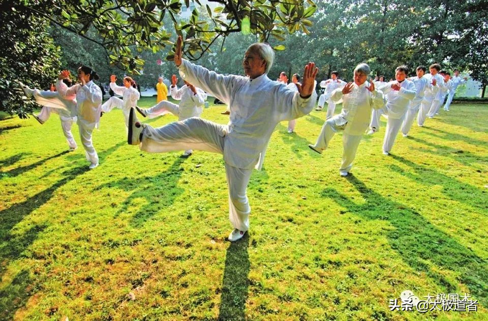 太极拳左右分脚站不稳怎样练习,太极拳金鸡独立动作分解