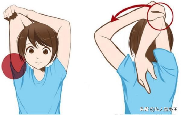 高效手臂训练早日练出你的麒麟臂,手臂太细了怎么练粗速成