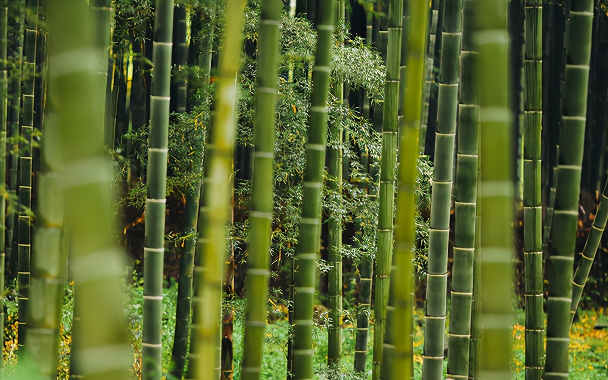 听起来就富贵逼人的女孩名字,大气而又儒雅的女孩名字