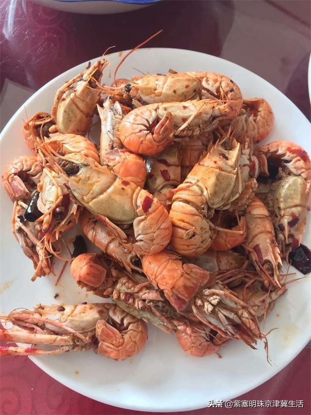 海边可以赶海吃住玩一体的农家院,秦皇岛黄金海岸牧海农家院