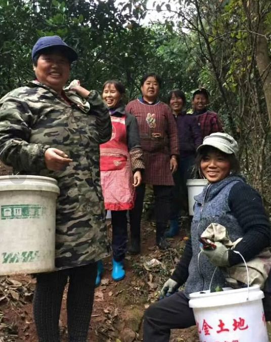 一年一爆为么什‬辰颐要把这冰颗‬糖橙出带‬大山？