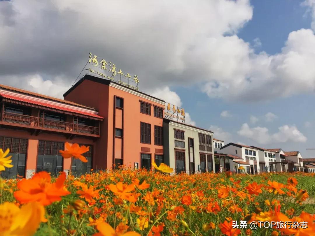 女游客三亚就医遭遇尴尬，“国际医疗旅游之都”名声遭骂，靠中医小镇和度假酒店救得回来吗？