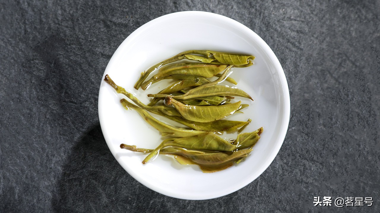 老班章古树普洱茶鉴定方法,老班章古树茶鉴别方法