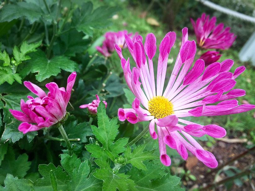 横琴相思瀑布要门票吗,相思瀑布珠海附近景点
