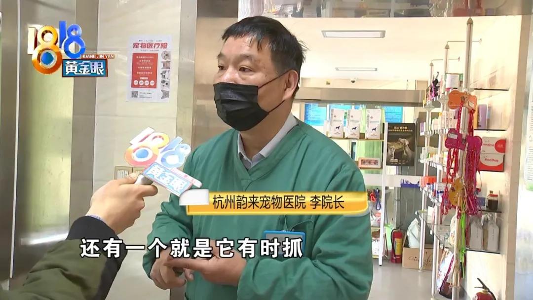 小狗背上一大块斑秃,小狗斑秃起皮屑