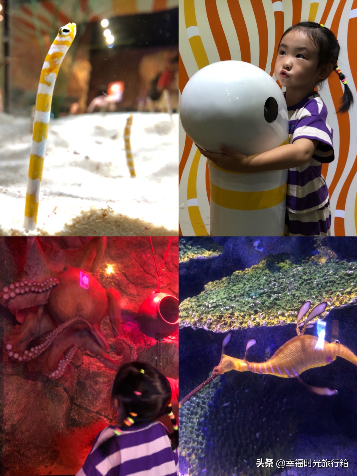 最适合带娃旅游的国家,最适合带娃旅游的国家是哪个