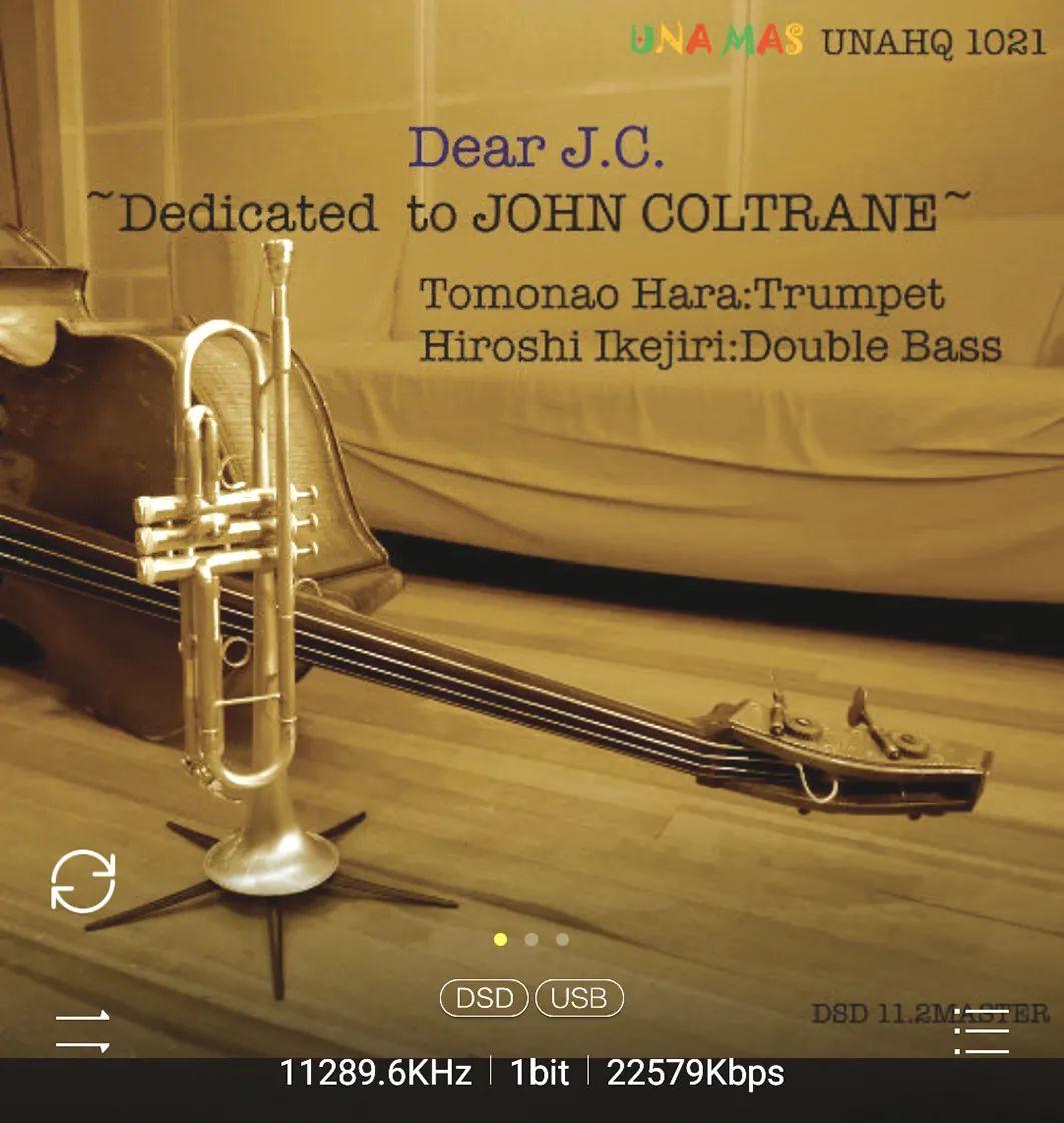 爱歌AADrive转盘+AADac解码器/前级组合