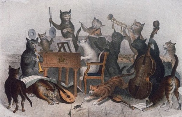 北美版人设,北美人设