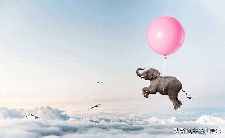 人生在世混江湖，圆滑与老实之间，你选哪个？