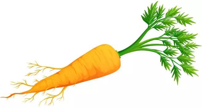 疫情期间需要吃维生素吗,疫情专家建议多吃维生素