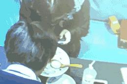 女孩们，你知道买一瓶迷奸药有多简单吗？