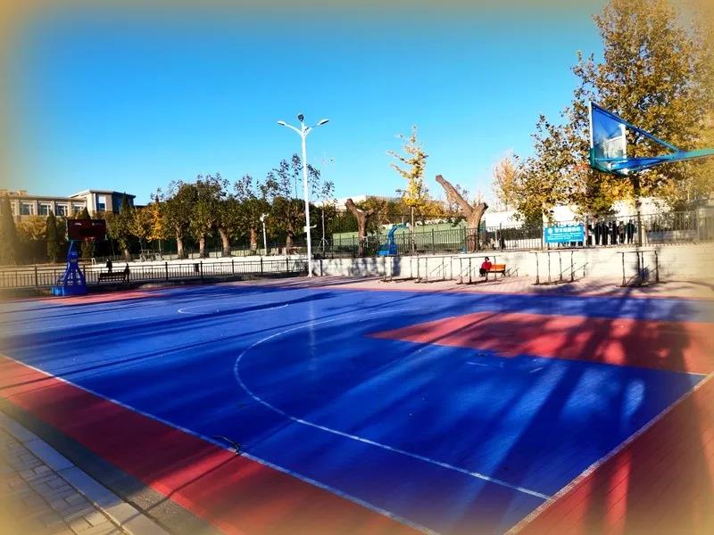 多个运动场馆免费开放,动起来体育公园