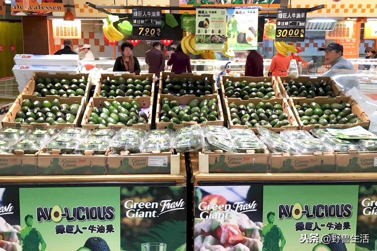 牛油果是真有营养还是虚假宣传,被捧上天却毫无作用的食物