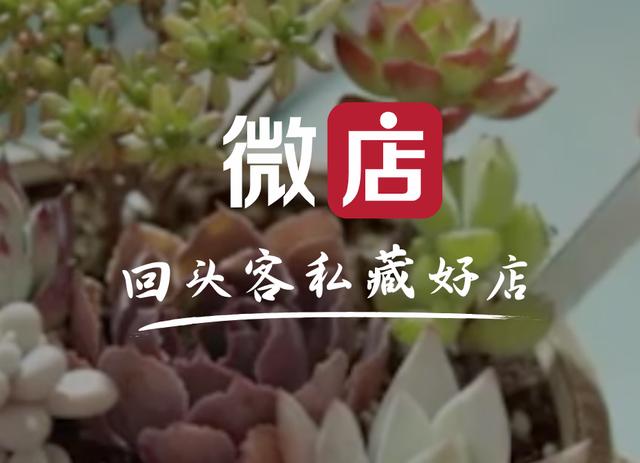 微店还有机会成功吗,微店的优势与劣势