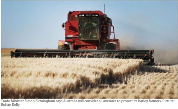 为了中国，澳洲跟美国“翻脸”了！多种农产品出口受阻，这回知道疼了？