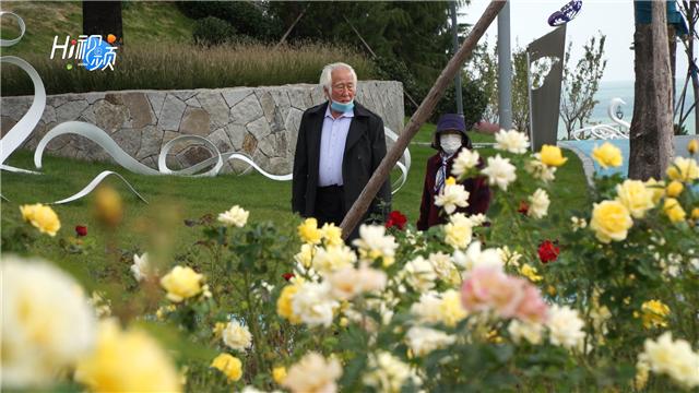 金线顶最浪漫的海景公园,金线顶公园有什么好玩的