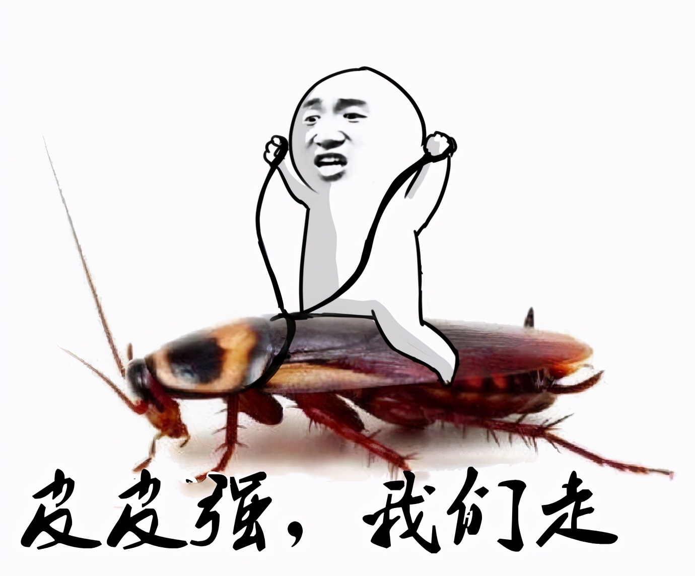 灭蟑螂三年怎么消灭最彻底,灭蟑螂最靠谱的是这2招