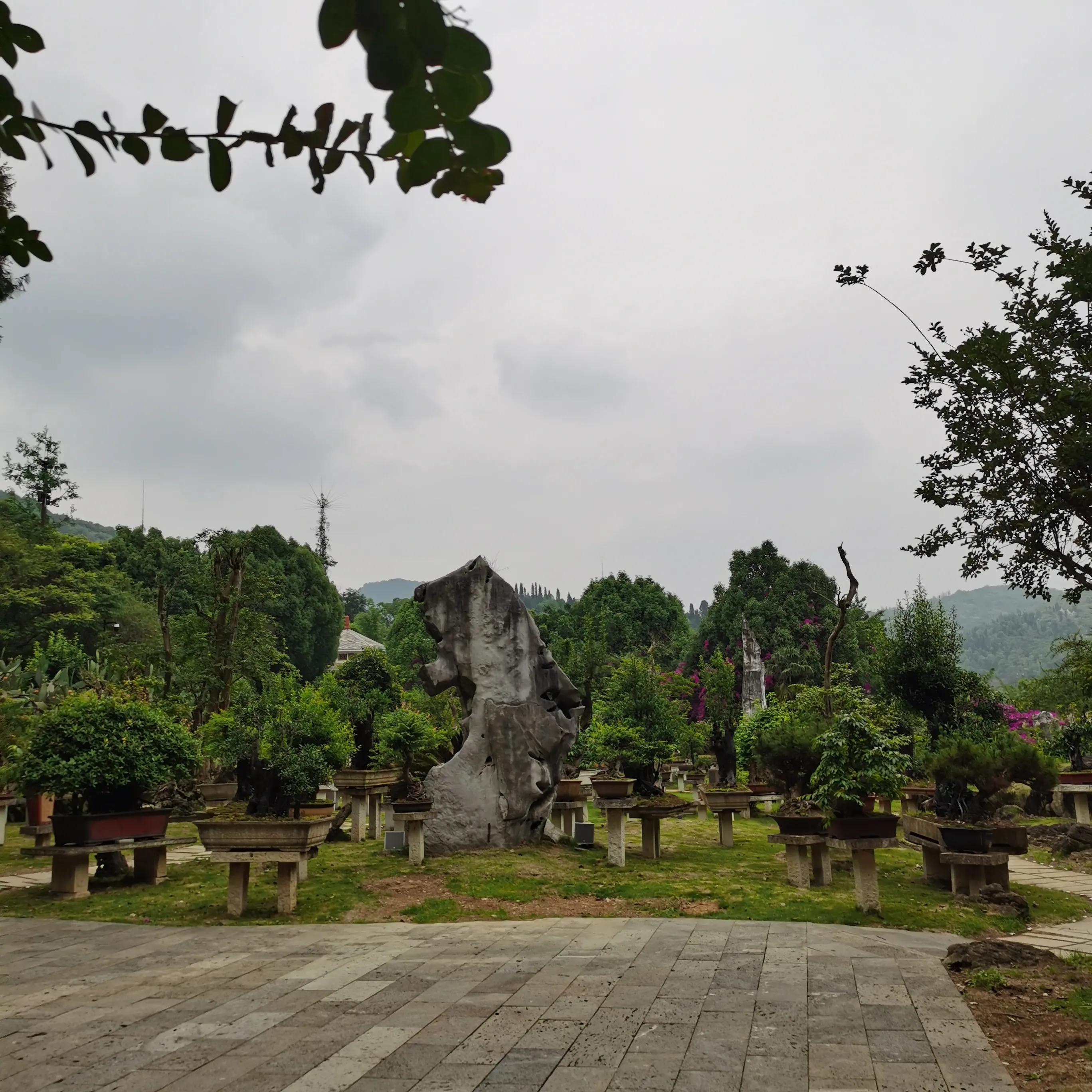 向南方和向北方,登上山顶看美景贵州黄果树瀑布