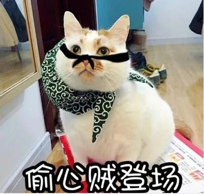 宠爱有家原创,宠爱有家小说