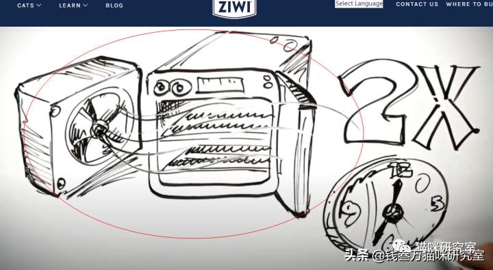 猫粮造假骗局曝光,巅峰风干猫粮真假辨别