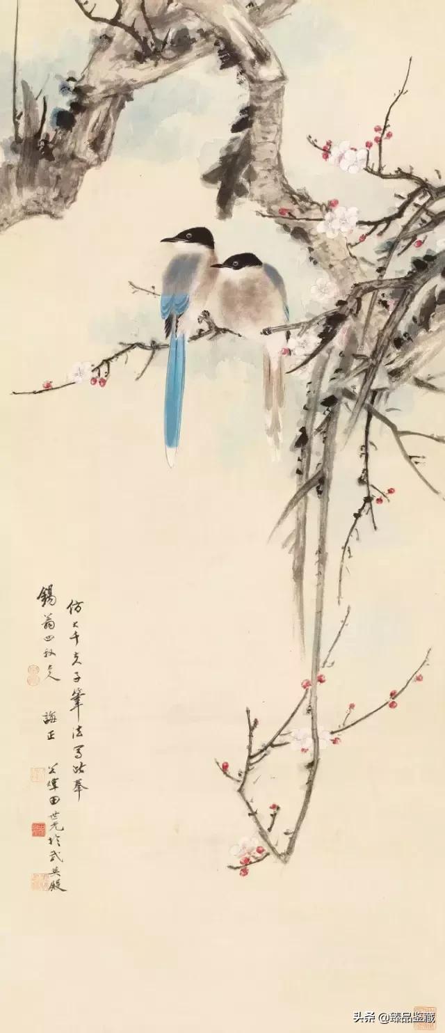 工笔大师田世光,工笔画大师田世光画孔雀好美