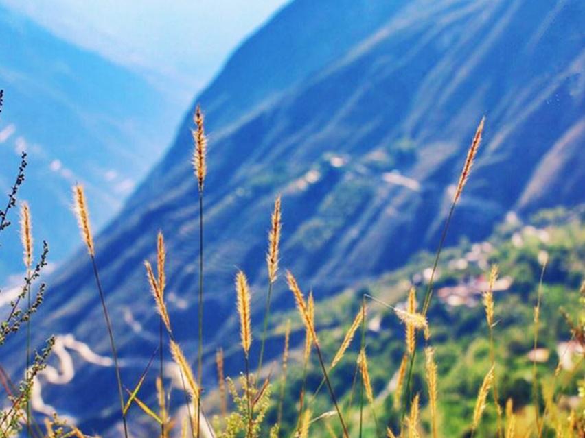 大草原网红打卡地,牧场网红打卡点
