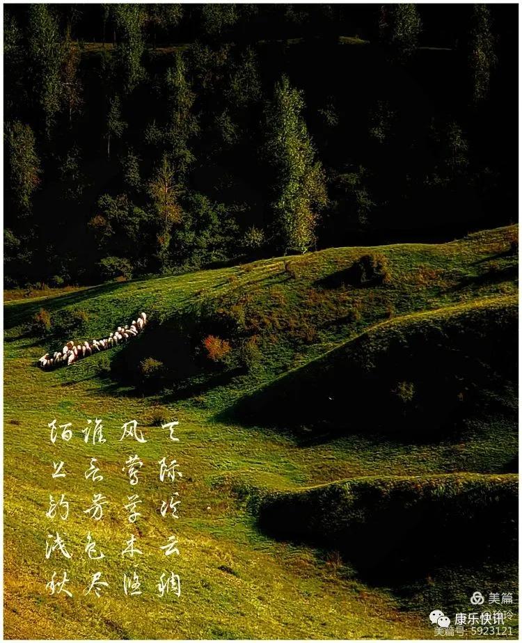 美女摄影师眼里，九月的康乐是这样的