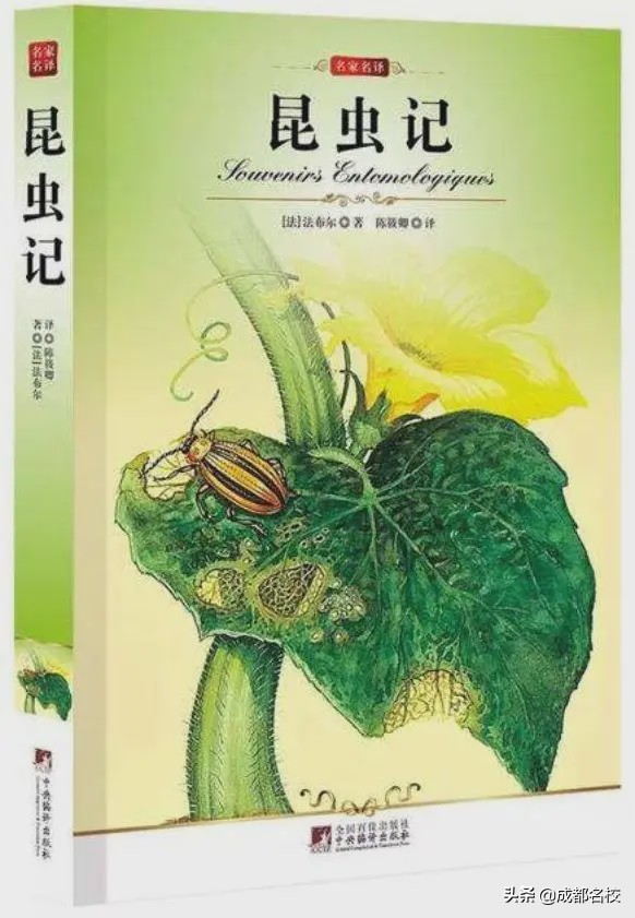 川师附小书香阅读节,云上读书会相约共此时第18期