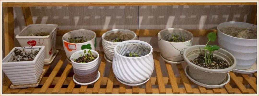 大班新学期环境创设实施方案,大大的小小的主题活动及环境创设