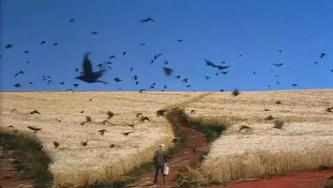 黑泽明经典电影,黑泽明电影解说