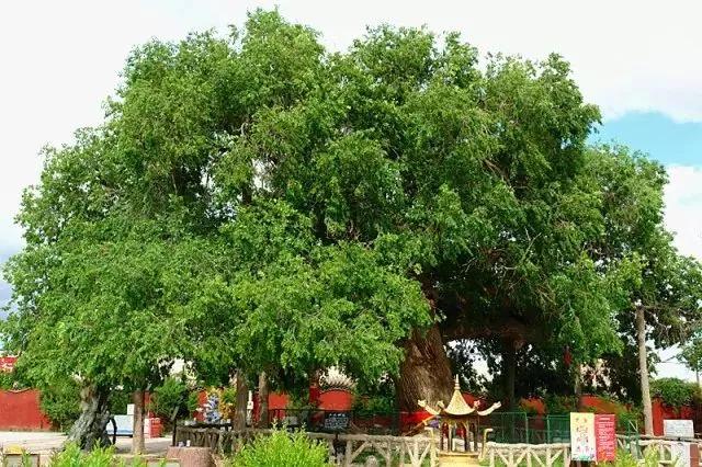 敖包相会的地方,敖包相会的地方通辽