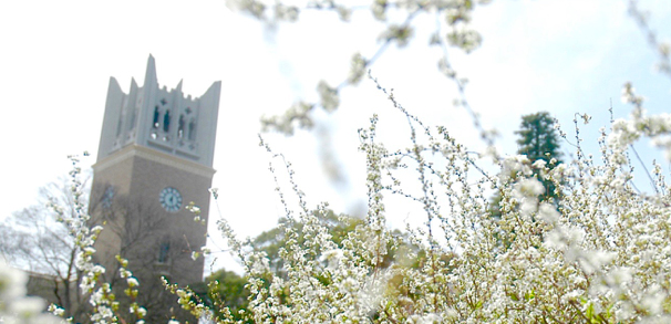 早稻田大学介绍,日本早稻田大学介绍