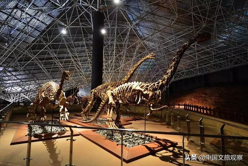 云南又在央视火了！这份云南2019新简历要藏不住了！