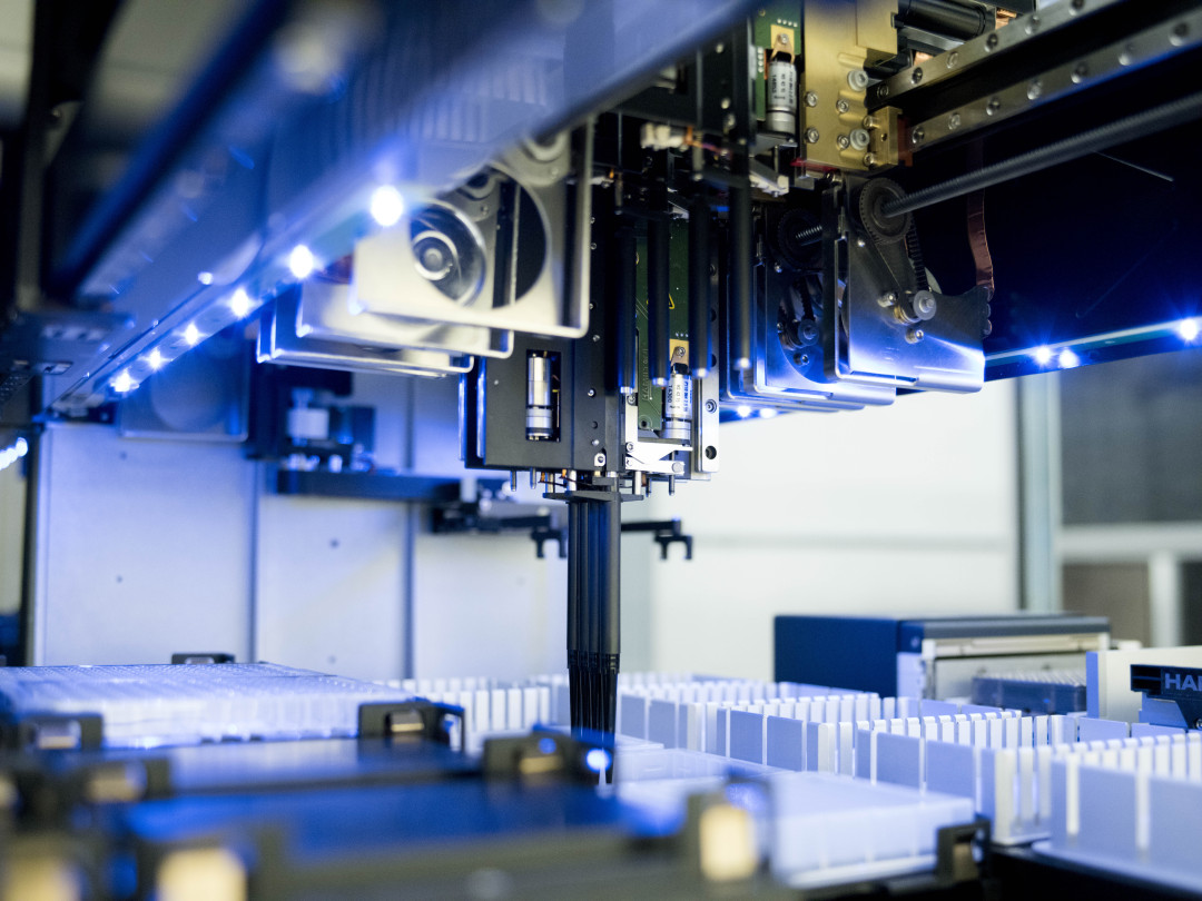 植物种出来的鸡蛋,植物蛋