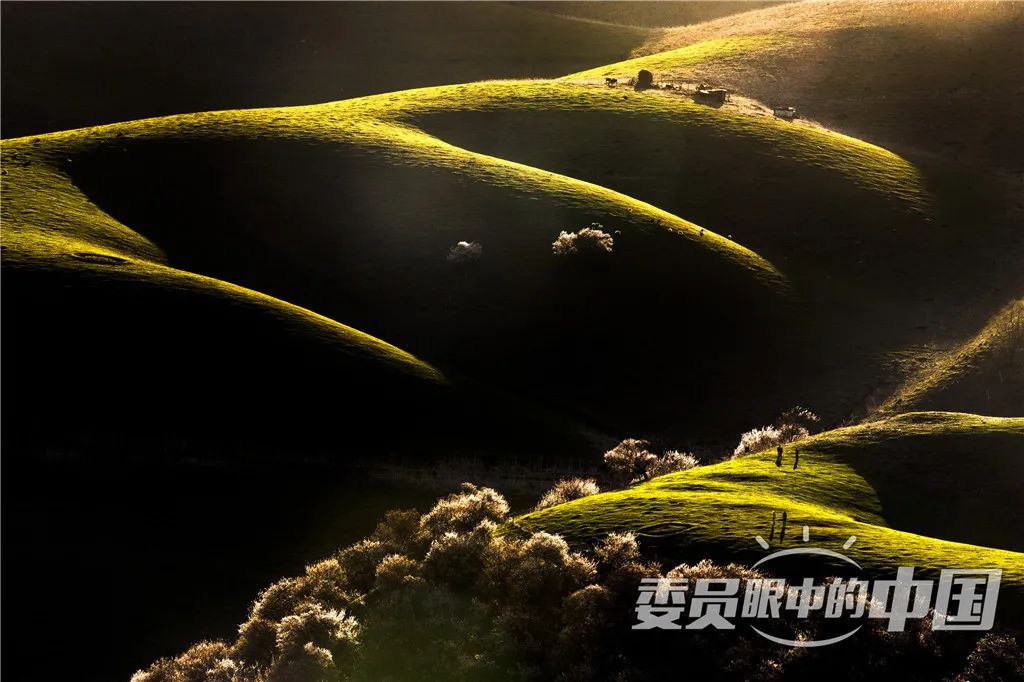 美丽中国中国篇,美丽中国双碳有我主题范文800字