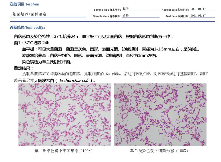 猫咪额头鼓起来软软的怎么回事,猫咪额头红怎么回事