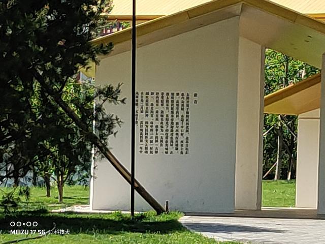 魅族17pro和三星note10+,三星s20和魅族17pro哪个好