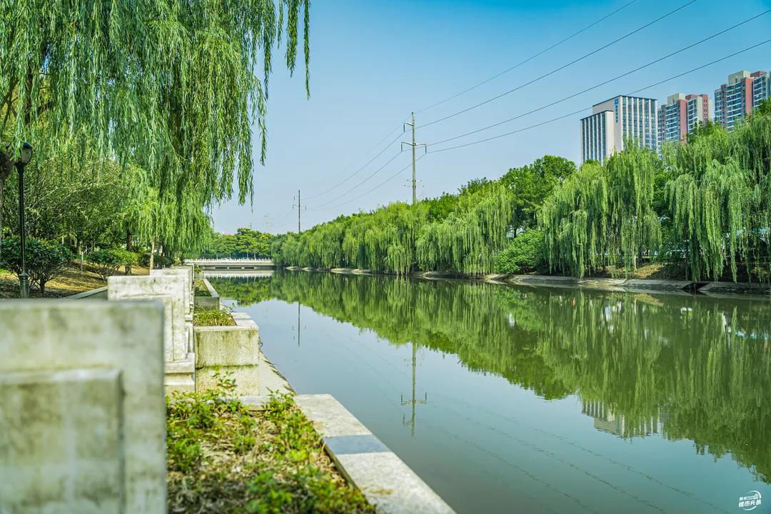 30+公园在路上，荆州又要“补绿”了