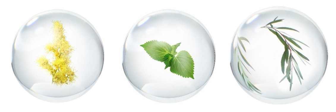 花一样的脸庞是什么样,毛孔大脸颊像草莓