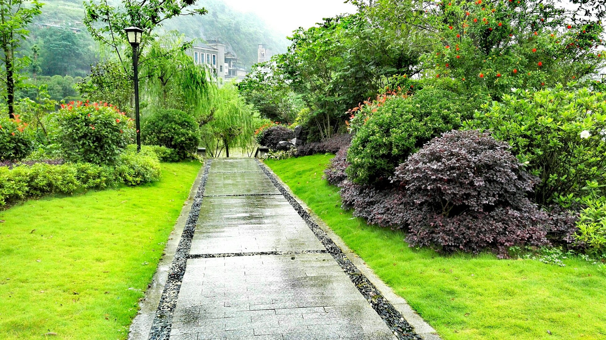 重庆避暑的好地方推荐一下,重庆本地人避暑去哪玩
