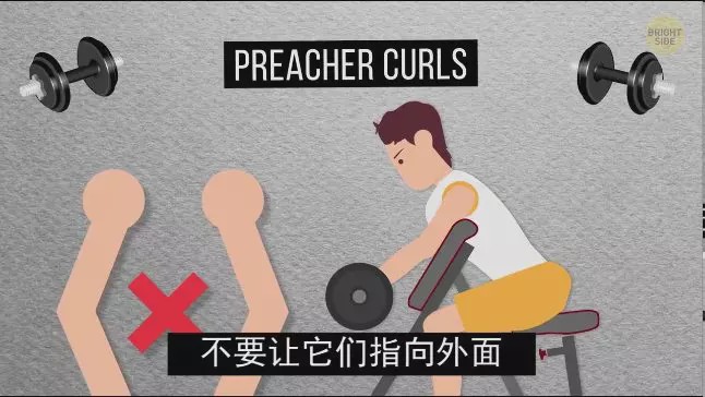 怎么练手臂的肱三头,怎么才能练出手臂的肱三头肌