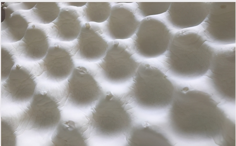 市面上100%乳胶枕都是假的,便宜的乳胶枕有什么猫腻