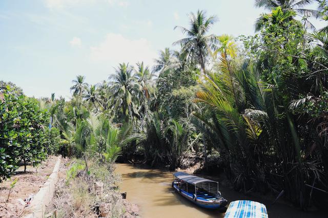 越南的美食美景,越南的美食和美景