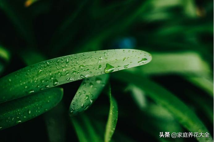 冬季室内干燥如何增加室内湿度,室内温度太干燥怎么保湿