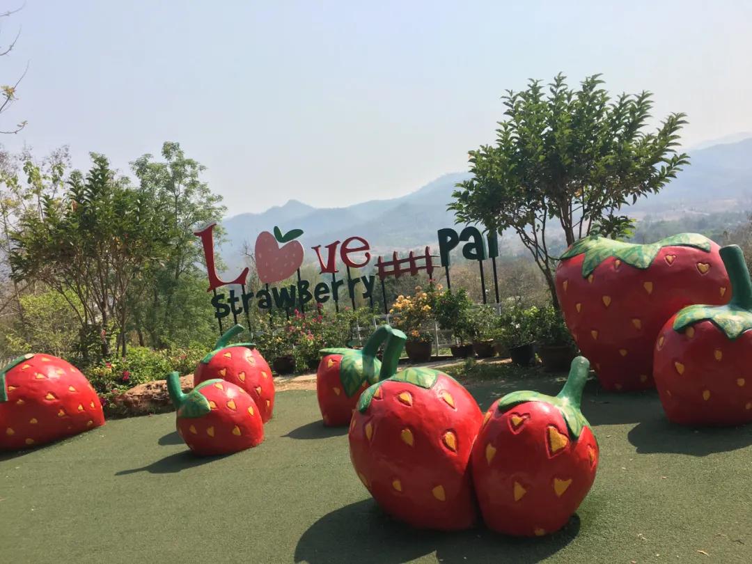 泰国有多好玩,泰国有什么好玩的东西