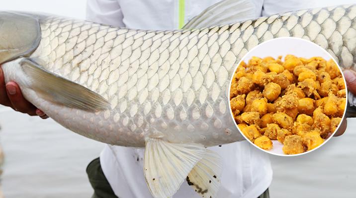 严重走水钓鱼看竿稍技巧,急流走水钓鱼技巧