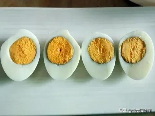 早晨一碗白开水冲鸡蛋有什么营养,常年早餐吃鸡蛋牛奶会有什么好处